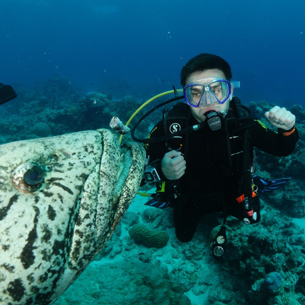 Diving in the Great Bareer Reef